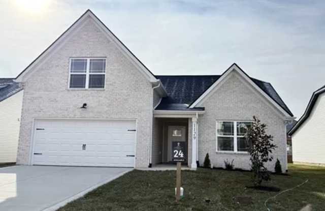 NEW CONSTRUCTION HOME FOR RENT photos photos