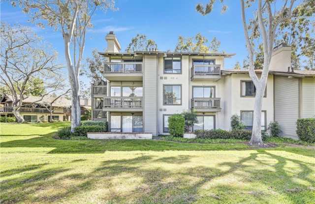 10 Lago Norte photos photos