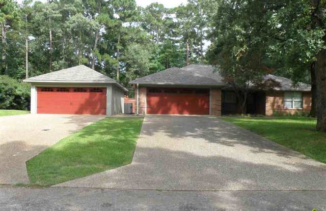 18751 Paradise Ln - 18751 Paradise Ln, Smith County, TX 75762