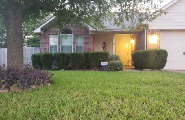 2703 Silk Tree Ln Gallery 3