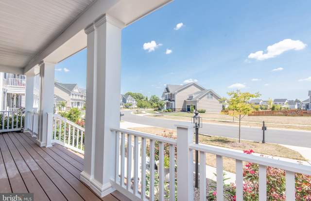 41174 TURTLE DOVE CIRCLE Gallery 2