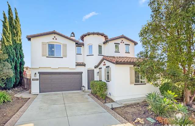 Stunning 4B/3.5BA House in San Elijo Hills! photos photos