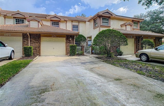 1171 CLAYS TRAIL - 1171 Clays Trail, East Lake, FL 34677