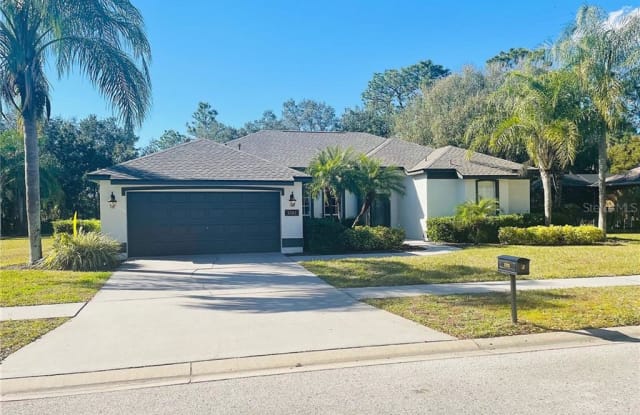 5721 TANAGERSIDE ROAD - 5721 Tanagerside Road, Fish Hawk, FL 33547
