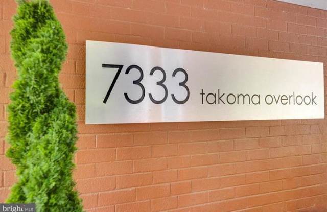 7333 New Hampshire Avenue Gallery 2