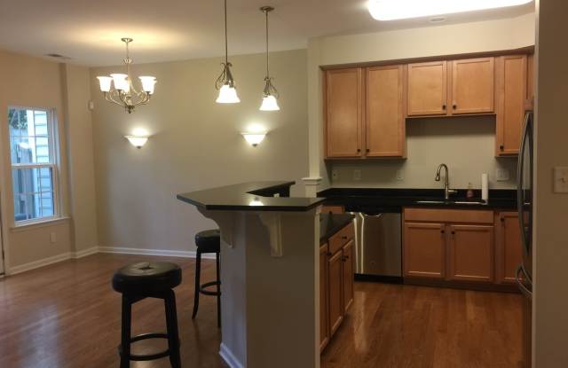 Move in ready townhome with garage and fenced back yard available NOW! - 239 Lewis Burwell Place, Williamsburg, VA 23185
