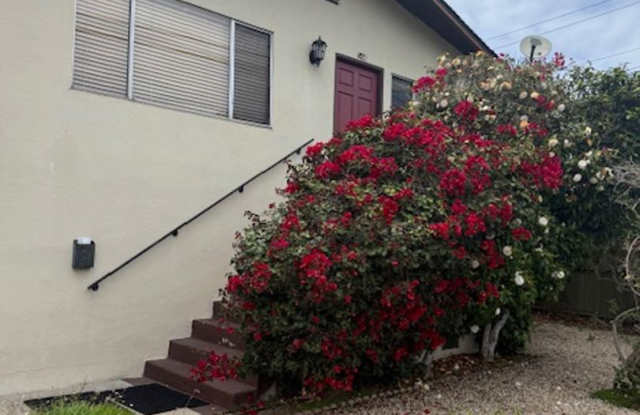 Large Three bedroom two bath home walking distance to downtown Monterey, DLI, MIIS and the Warf photos photos