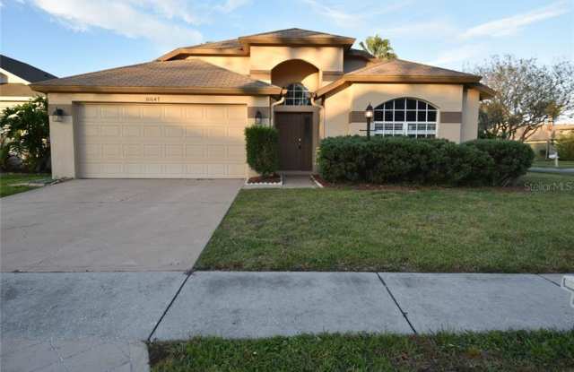 30647 NICKERSON LOOP - 30647 Nickerson Loop, Wesley Chapel, FL 33543