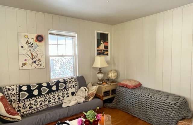 217/219 N. Pickney Street - 217-2 Gallery 3