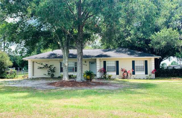 30929 Eloian Dr - 30929 Eloian Drive, Wesley Chapel, FL 33545