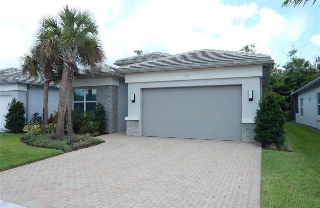 11331 Jacaranda photos photos