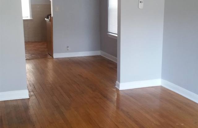 8153 S Houston Ave - 8153 South Houston Avenue, Chicago, IL 60617