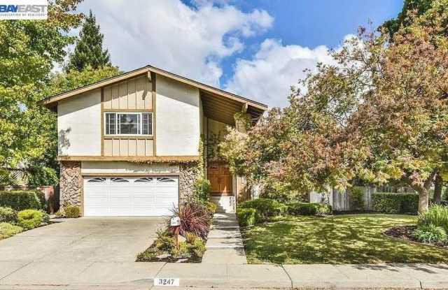 3247 El Suyo Dr Gallery 1