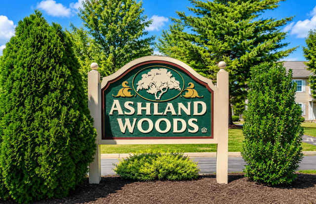 Ashland Woods I Gallery 3