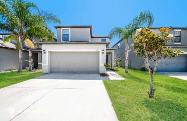 4112 Cat Mint Street - 4112 Cat Mint Street, Palm River-Clair Mel, FL 33619