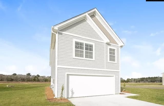 160 King Buck Drive - 160 King Buck Drive, Lexington County, SC 29053