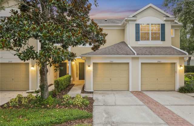 2561 GALLIANO Circle photos photos