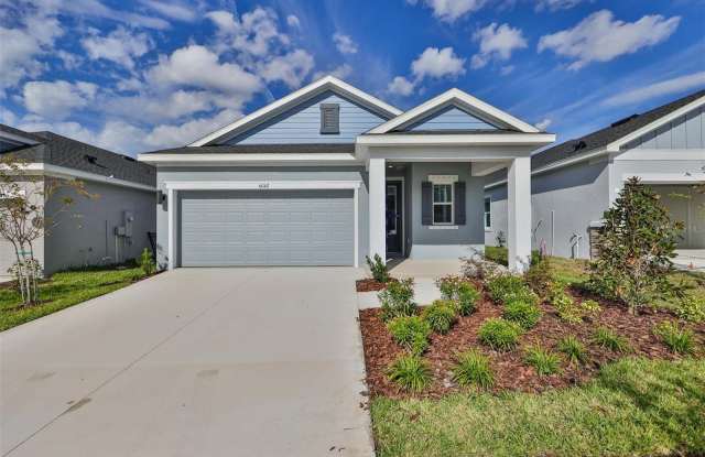 6042 GOLDEN NETTLE DRIVE - 6042 Golden Nettle Drive, Apollo Beach, FL 33572