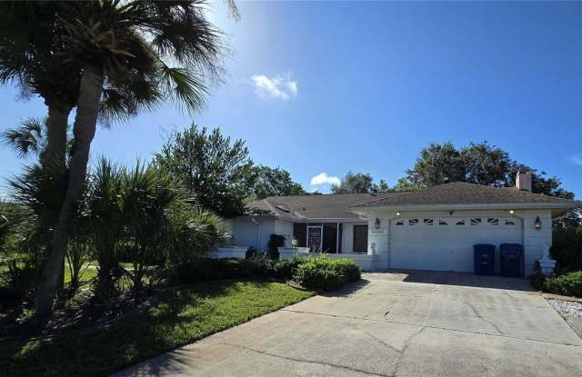 10066 BRENTLAWN STREET - 10066 Brentlawn Street, Spring Hill, FL 34608