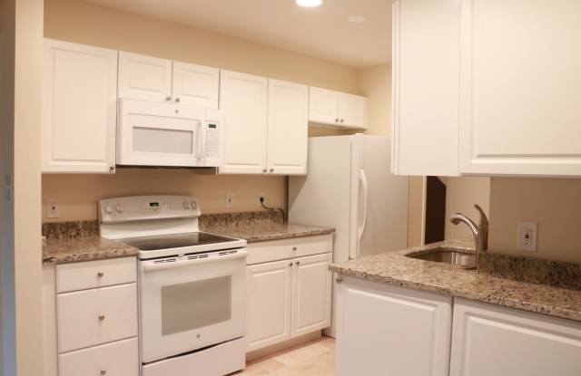 COMING SOON - Unique & Updated 4BD/2.5BA Contemporary Home in Bethesda Gallery 3