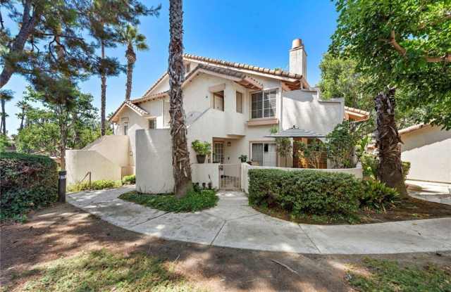 24342 Conejo - 24342 Conejo, Laguna Hills, CA 92656