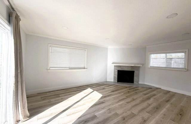 22287 Modina Gallery 3