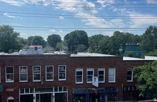 3205 N Davidson Unit 205 - 3205 North Davidson Street, Charlotte, NC 28205