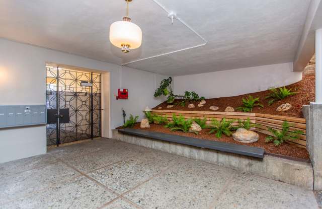 3014 Clay Street Gallery 3