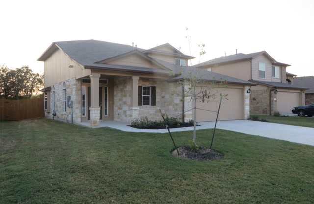 421 Purple Martin Avenue - 421 Purple Martin Avenue, Kyle, TX 78640