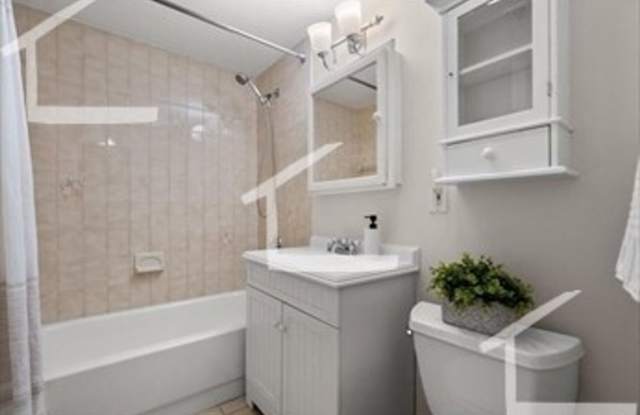 Unique Coolidge Corner Condo for Rent photos photos
