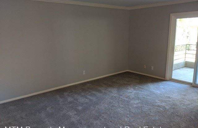 7445 Charmant Dr #1708 Gallery 4