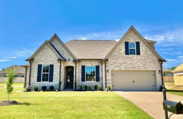 115 Birkdale Drive - 115 Birkdale Dr, Oakland, TN 38060
