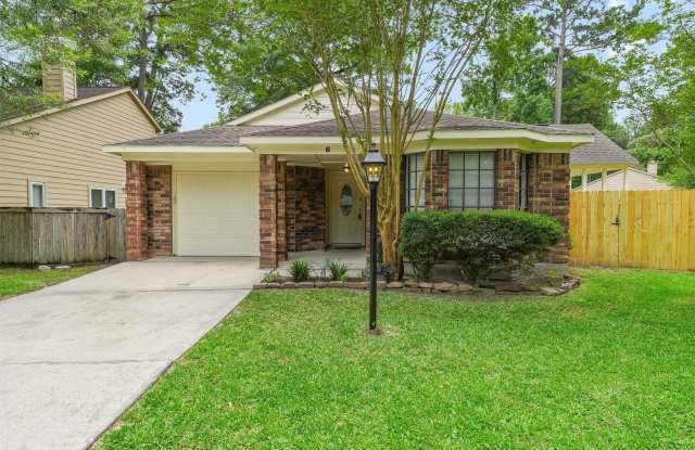 6 Fiddlers Cove Place - 6 Fiddlers Cove Place, The Woodlands, TX 77381