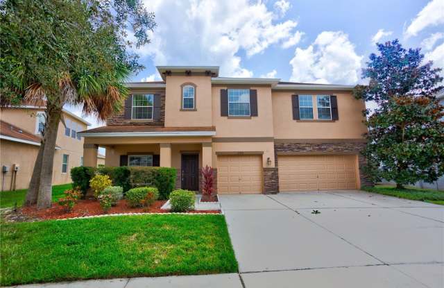 11322 COVENTRY GROVE CIRCLE - 11322 Coventry Grove Circle, Fish Hawk, FL 33547
