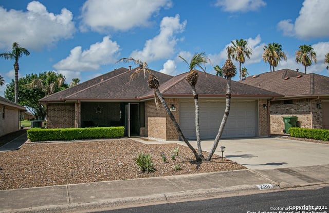 239 Rebecca - 239 Rebecca Drive, Alamo, TX 78516