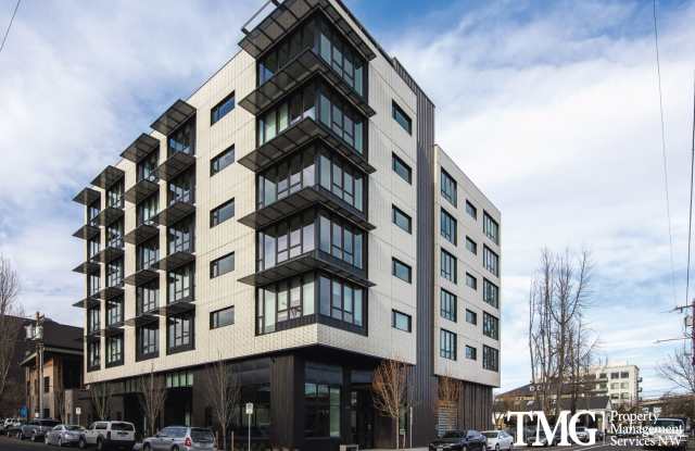 Muse Apartments photos photos