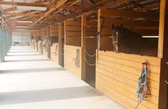 * September to May* Horse and dog friendly, 2 bedroom Barn Apartment Gallery 4