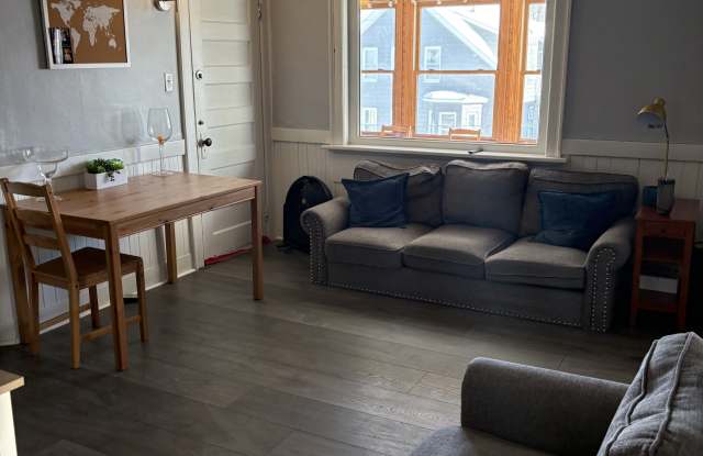 52 Lawrence Street photos photos