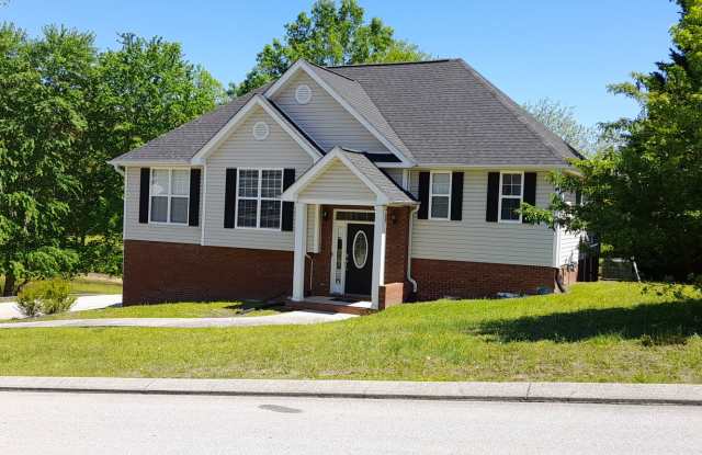 Spacious 4 Bedroom 3 bath in Hamilton on Hunter Subdivision photos photos