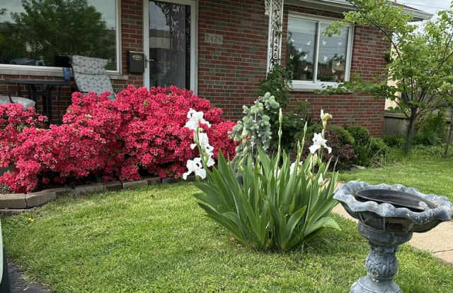 7426 Lindbergh Drive photos photos