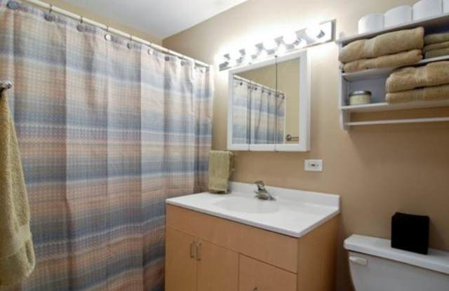 Beautiful 2 Bed, 1 Bath Condo Garden Unit for Rent in Logan Square! - AVAILABLE NOW! - 2437 North Albany Avenue, Chicago, IL 60647