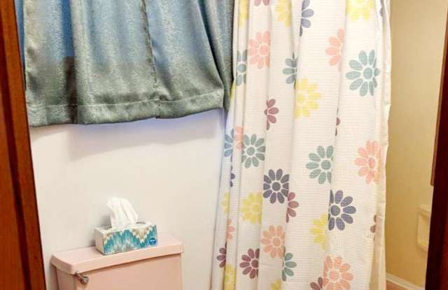 718 Hannah Street - 2apt 2 - 718 Hannah Street, Houtzdale, PA 16651