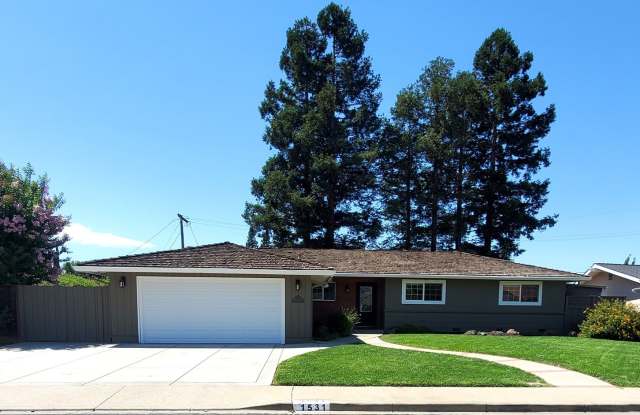 Enjoy the Outdoors Living in Beautiful 3/2 Home in Concord Gallery 1