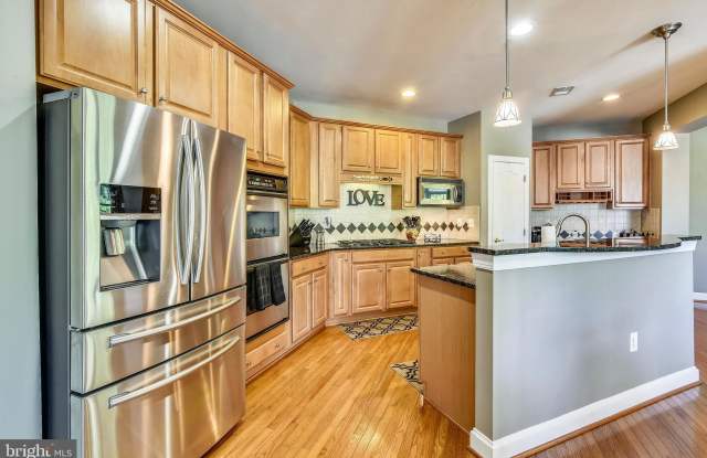 43586 MERCHANT MILL TERRACE Gallery 3