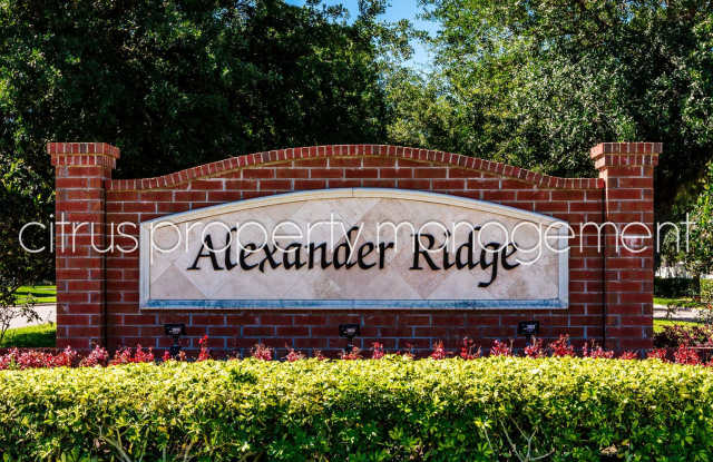 Charming and Immaculate, Updated 5/3 in Winter Garden's Alexander Ridge Gallery 3