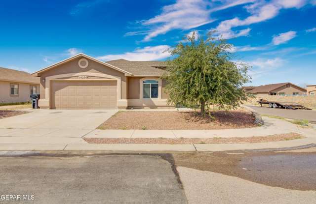 14299 Desert Point Drive photos photos
