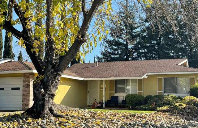 Establish Neighborhood - 320 Beelard Drive, Vacaville, CA 95687