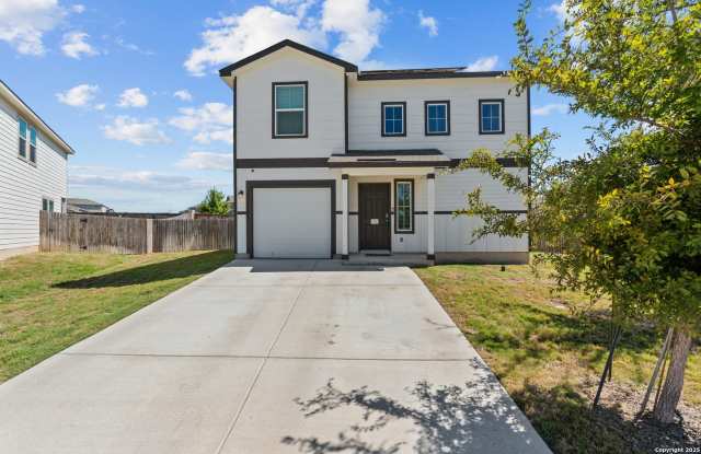 13903 CYPRUS SEDGE photos photos