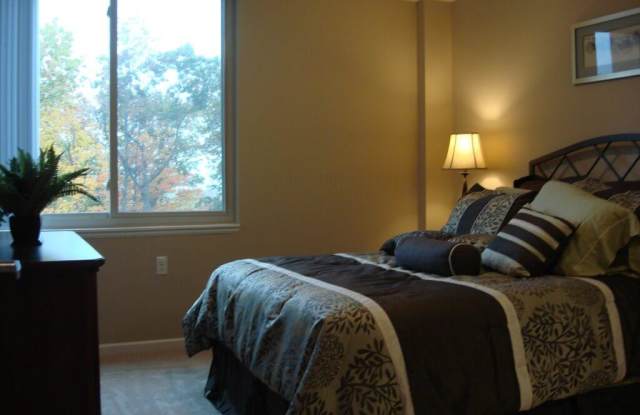 Taylor Park Apartments - Senior Housing Gallery 3