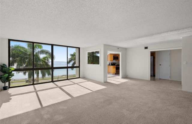 3301 BAYSHORE Boulevard Gallery 2